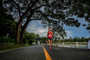 BIB: 
                            <button type="button" onclick="openModal(26537618)" class="btn btn-primary btn-sm float-right btn-popup" data-toggle="modal" data-target=".modal-high-quality">
                        <i class="fas fa-shopping-cart"></i> Add to Cart
                    </button>
                                            <button type="button" onclick="isThisMe(26537618, true)" class="btn btn-success btn-sm float-right btn-popup btn-isme hidden" data-toggle="tooltip" data-placement="bottom" title="นี่คือรูปของคุณใช่ไหม คลิกที่นี่เพื่อเอาเข้าอัลบั้ม">
                        <i class="fas fa-plus"></i> Add to album
                    </button>
                    <button type="button" onclick="isThisMe(26537618, false)" class="btn btn-warning btn-sm float-right btn-popup btn-isnotme hidden">
                        <i class="fas fa-ban"></i> Remove from album
                    </button>